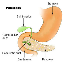 Truvada PrEP Pancreas